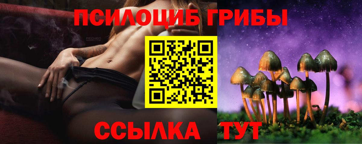Псилоцибиновые грибы Psilocybe Рузаевка